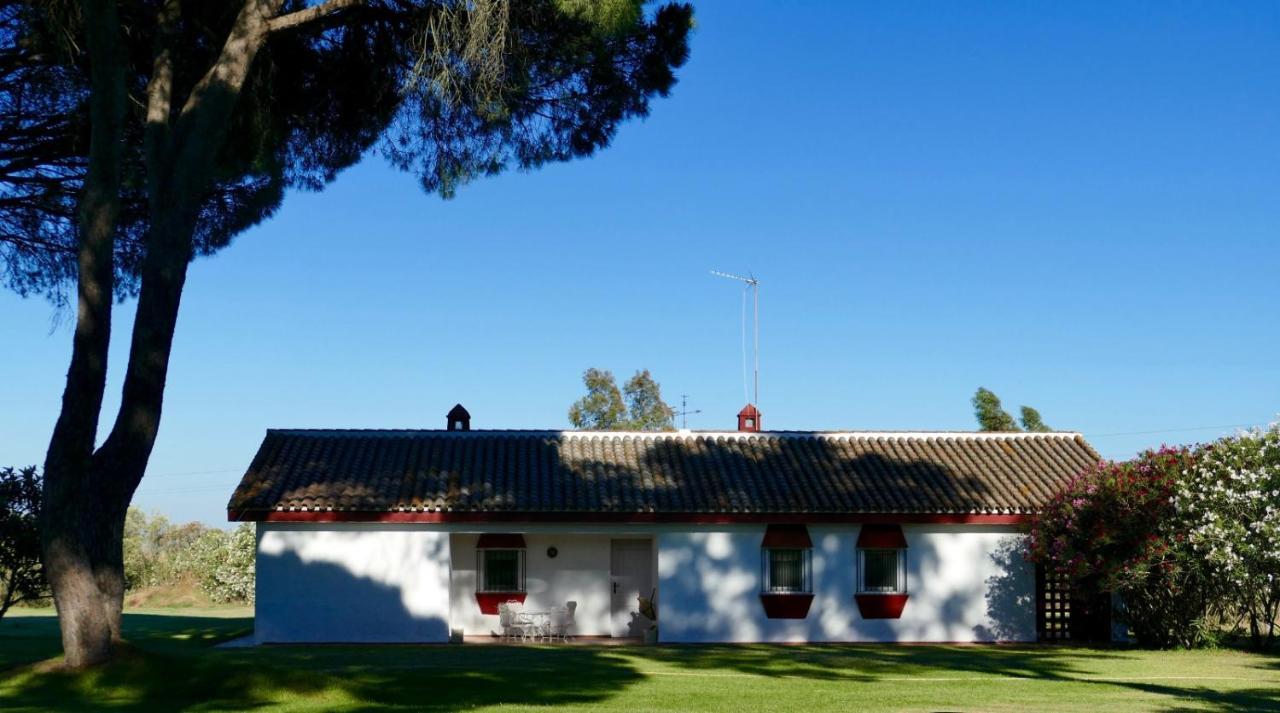 La Casita De Hato Pinos, Un Rincon En Donana Асналькасар Экстерьер фото